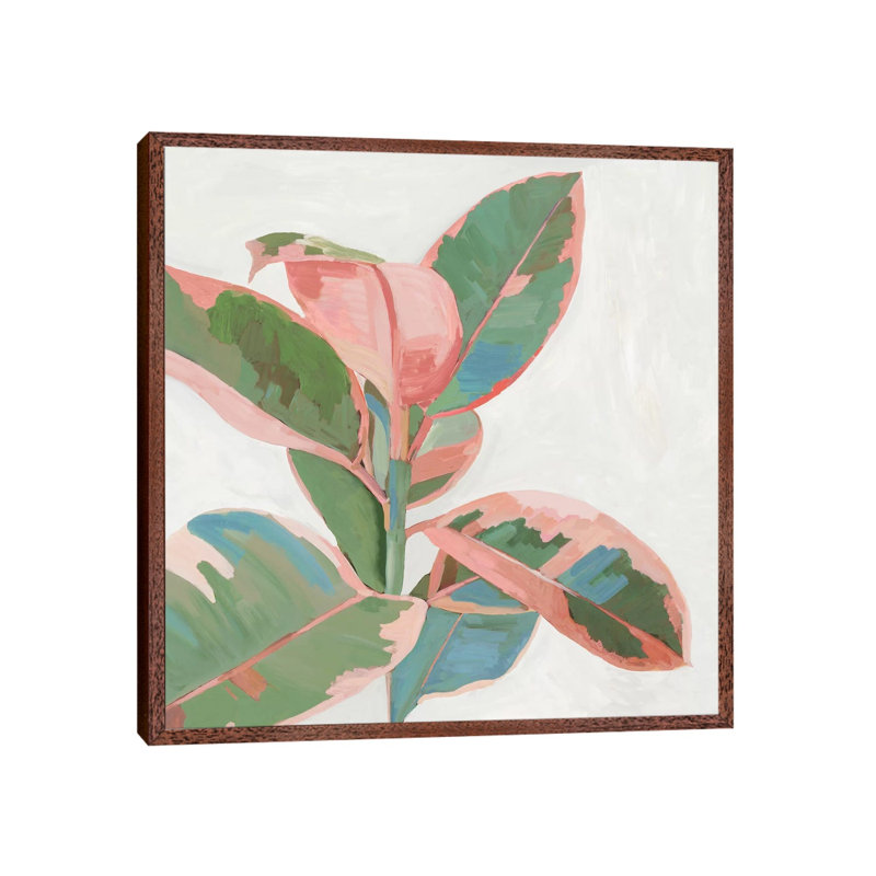 Pink Ficus I by Asia Jensen - Painting on Canvas, 66.04cm H x 66.04cm W x 3.81cm D, Classic Brown Wood Framed