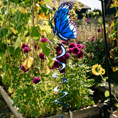 Thème Blue Morpho Twister