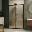 Porte de douche 48 po x l 72 po - Verre trempé de 1/5 po, poignée en acier inoxydable noir, fabrication élégante et imperméable avec poignée noire, durabilité réglable