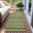 Luthyra Aloe Washable Indoor-Outdoor Rug - -443576940