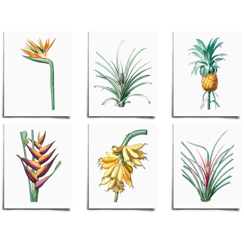 Ensemble de 6 pièces de fleurs rétro sur papier, H 12 po x l 12 po