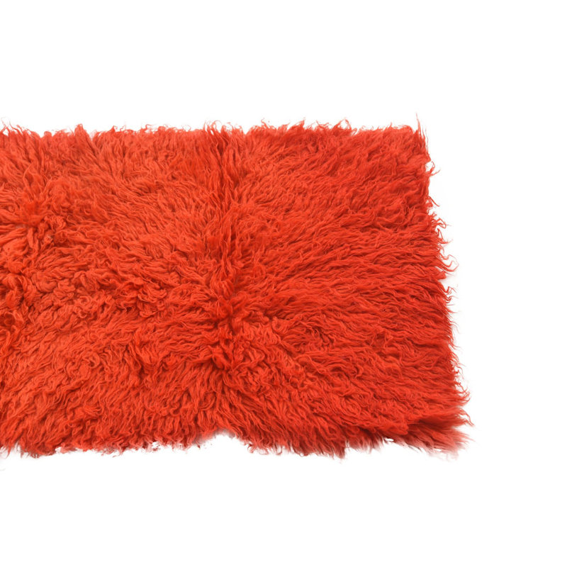Runner Phillippi Orange Rug