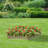 Bunny Hexagonal Raised Bed - 90cm each side, Height 15cm