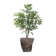 45.5'' Faux Cannabis Tree in Planter