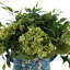 Hydrangea and Ruscus Arrangement in Ceramic Pot