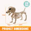 Wiener Dog Skeleton 24” Plastic Animal Posable Skeleton Halloween Decorations