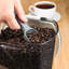 Grande cafetière à vin 128 onces