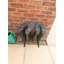 2 Pair Boot Storage