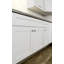 Armoire de cuisine avec base d'évier de style shaker non assemblé Brookings par Design House, blanc-1272543420