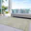 Tapis beige intérieur / extérieur lavable à la machine Chayden ACN1089-109484180