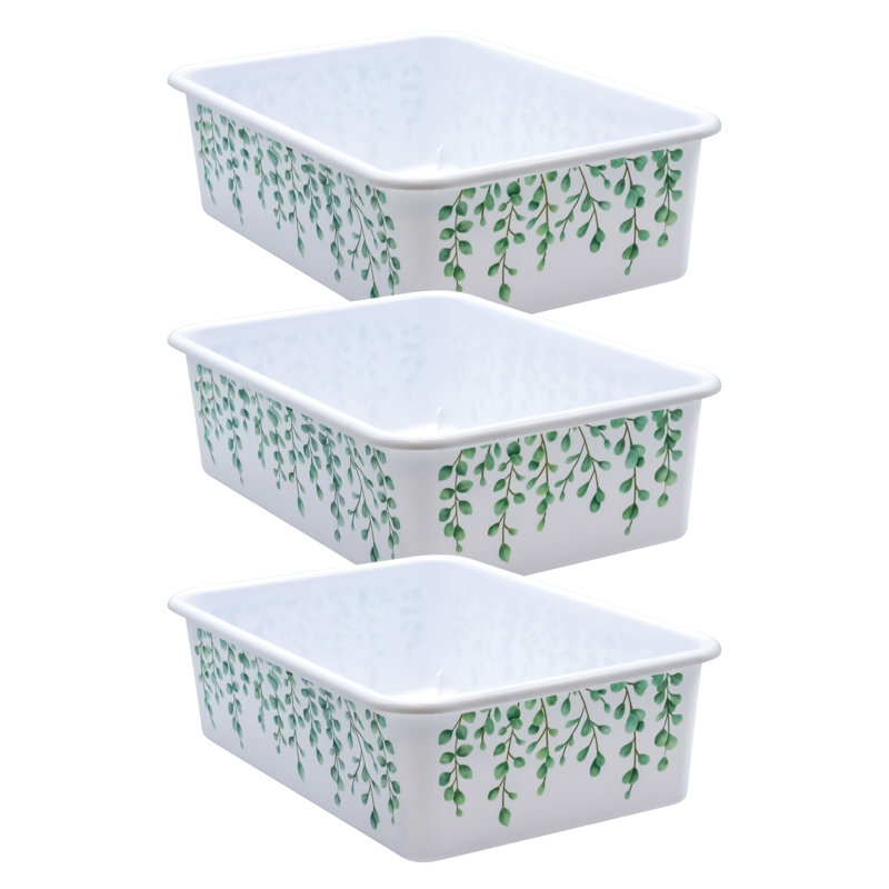 Ensemble de grands bacs de rangement en plastique eucalyptus, H 5 po x l 16,25 po x P 11,5 po