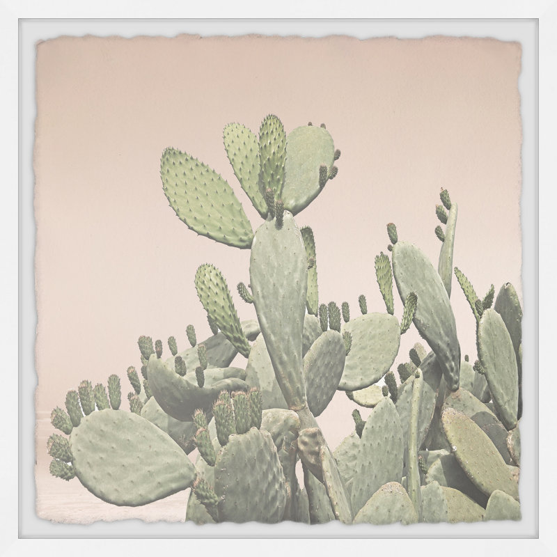 Cactus Opuntia - Single Picture Frame Painting, 41 cm H x 41 cm W