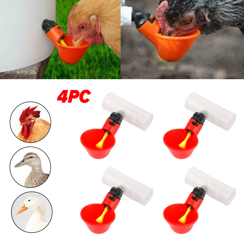 Kealey ABS Plastic Waterer