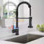 Robinet de cuisine AlenArtWater-101165962