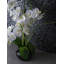 Glass Pebbles Mosaic Wall & Floor Tile-61485342