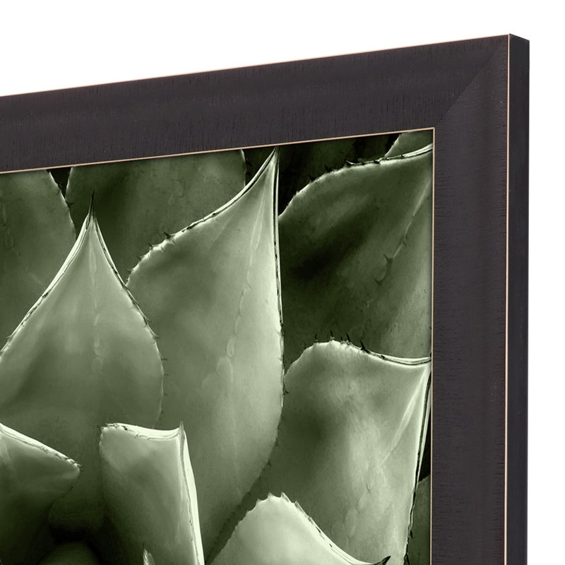 HomeRoots "Green Succulent II, reproduction d'art encadrée brune"