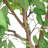 94" Artificial Tall Ficus Tree in Pot