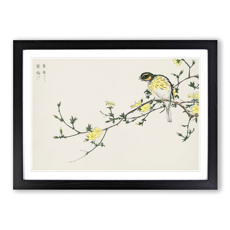 Bunting Bird on a Plum Tree by Numata Kashu - Picture Frame Art Print, Black Framed, 36cm H x 48cm W x 2cm D