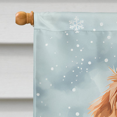 Double Sided Polyester Christmas