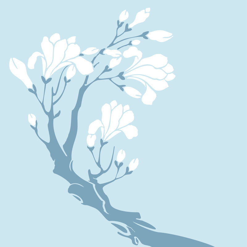 White Magnolia by BingoPixel - Wrapped Canvas Print, 51cm H x 51cm W