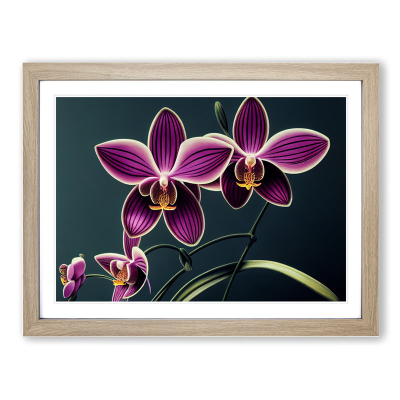 Thrilling Orchid Flowers 1 Piece Single Picture Frame Wall Art, 25cm H x 34cm W x 2cm D, Oak Framed
