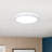 Roshika LED Flush Mount