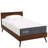 Modway Mila 10" Mattress-48196625