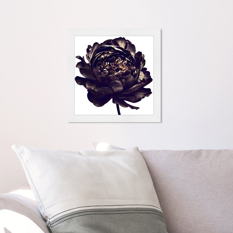Pivoine noire - cadre photo, H 14 po x l 14 po, Cadre blanc