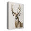 «Handsome Whitetail I», toile tendue avec châssis de qualité supérieure - prête à être accrochée-1906569360