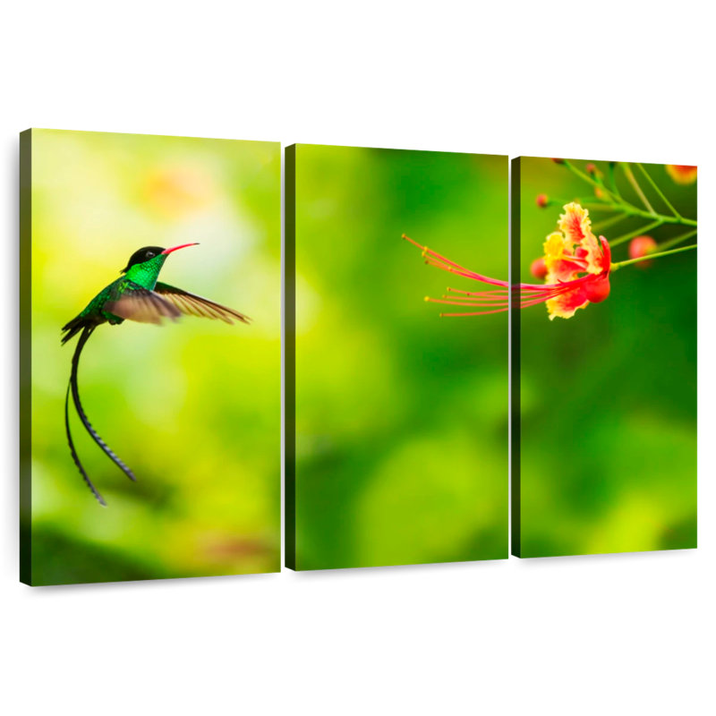 Voler un colibri jamaïcain, H 32 po x l 50 po