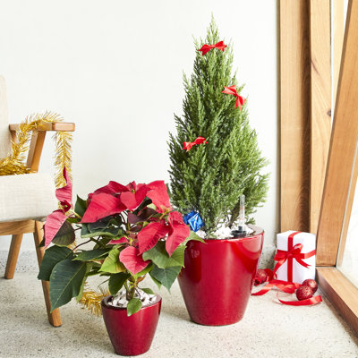 2 pots à fleurs intelligents - Cône rond rouge idéal pour la décoration de jardin et la maison