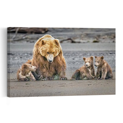 Coastal Bear Family Contemporary Bear Coastal Wall Art Print by Jeffrey C. Sink - 1 Piece Wrapped Canvas Wall Art