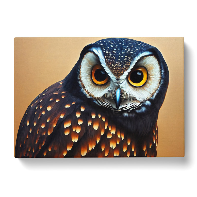 Face Of An Owl Vol.6 - Wrapped Canvas Print, 35cm H x 50cm W x 3cm D