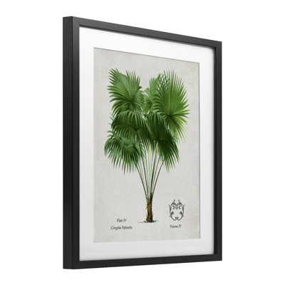 «Vintage Fan Palm», reproduction encadrée sous verre, design par Val Rhodes