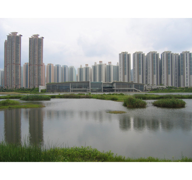 Tin Shui Wai Town, 36" H x 48" W