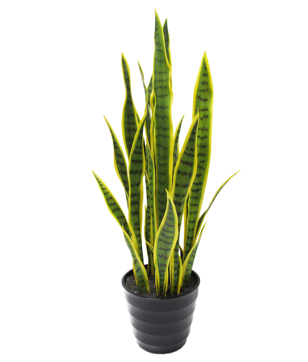 Wrought Studio™ Artificial Sansevieria Snake Plant in Pot & Reviews ...