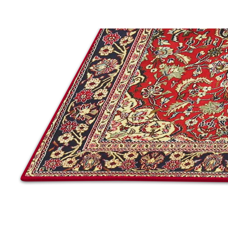 Oriental Indoor Rug, Rectangle 5' x 7'