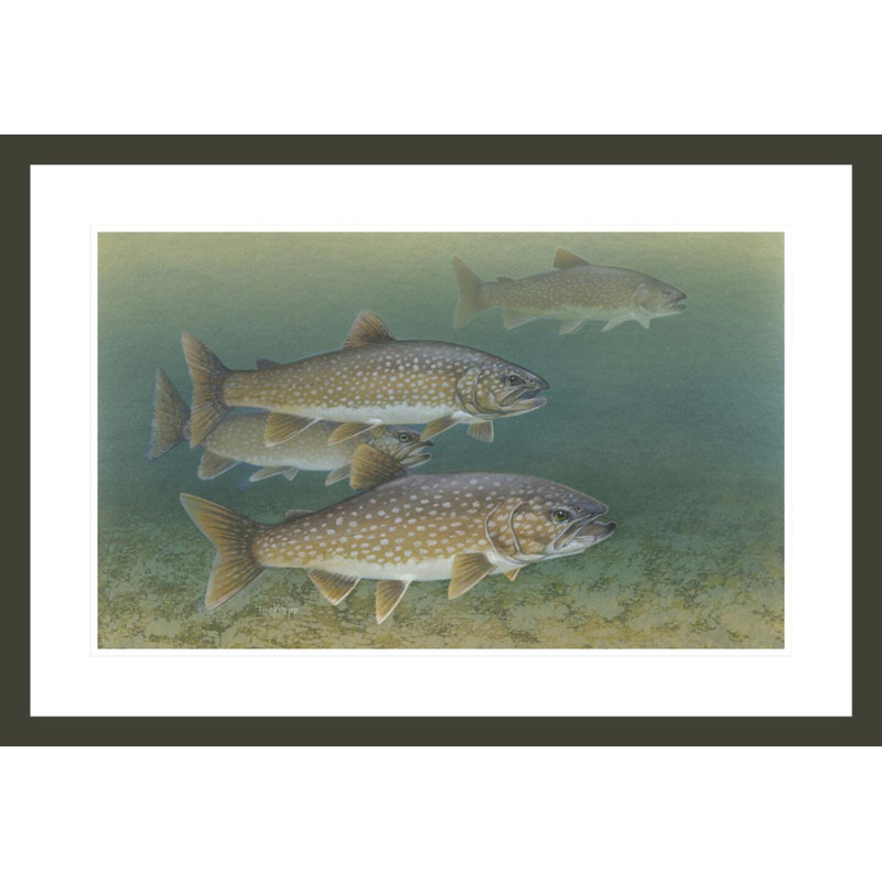 Lake Trout par Tim Knepp - estampe numérique encadrée, H 20,48 po x l 29,5 po