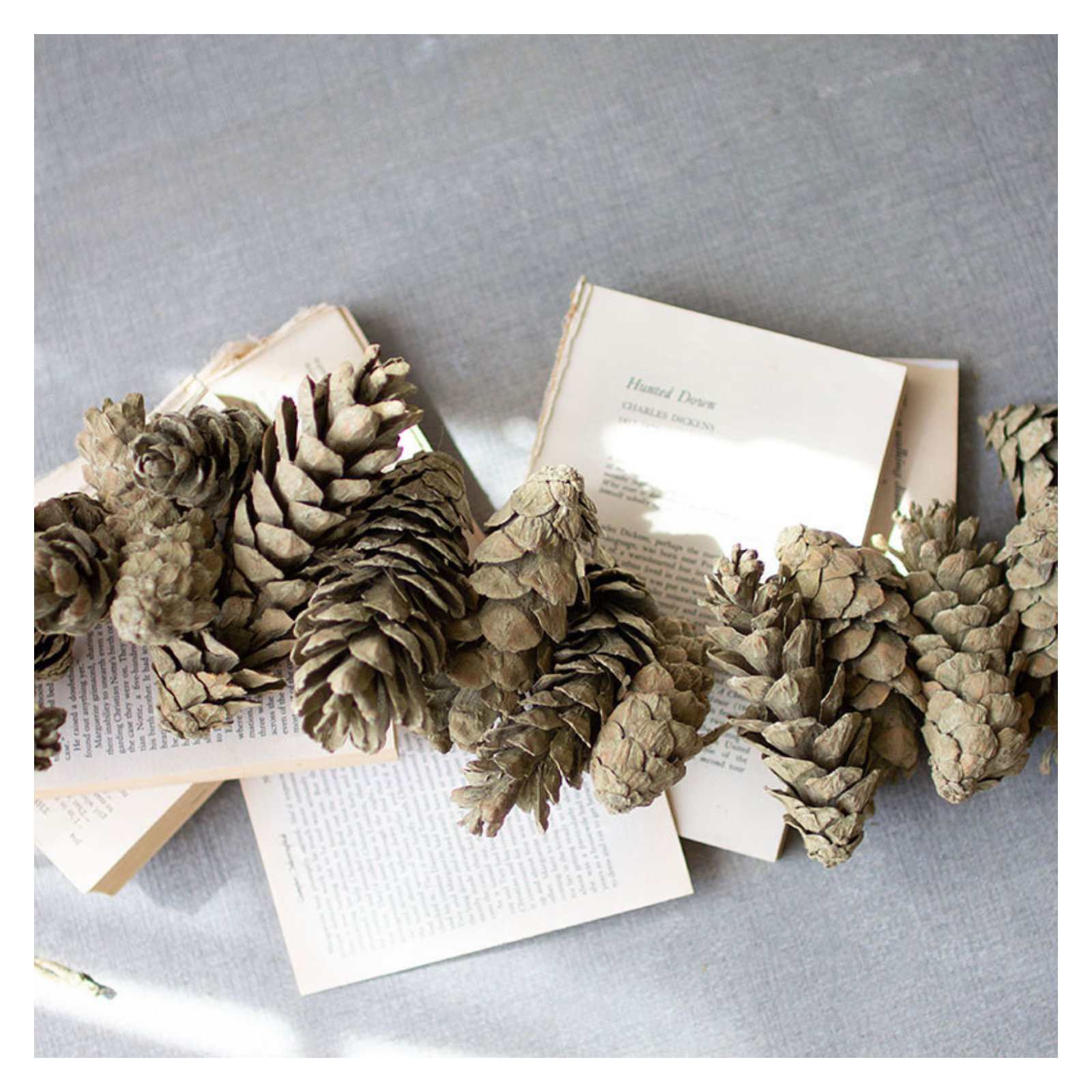26'' in. Preserved Sage Garland