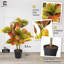 CAPHAUS Artificial Topiary Croton Tree in Pot w/ Dried Moss, UV Resistant, 30 / 36 / 42 Inch-98582164