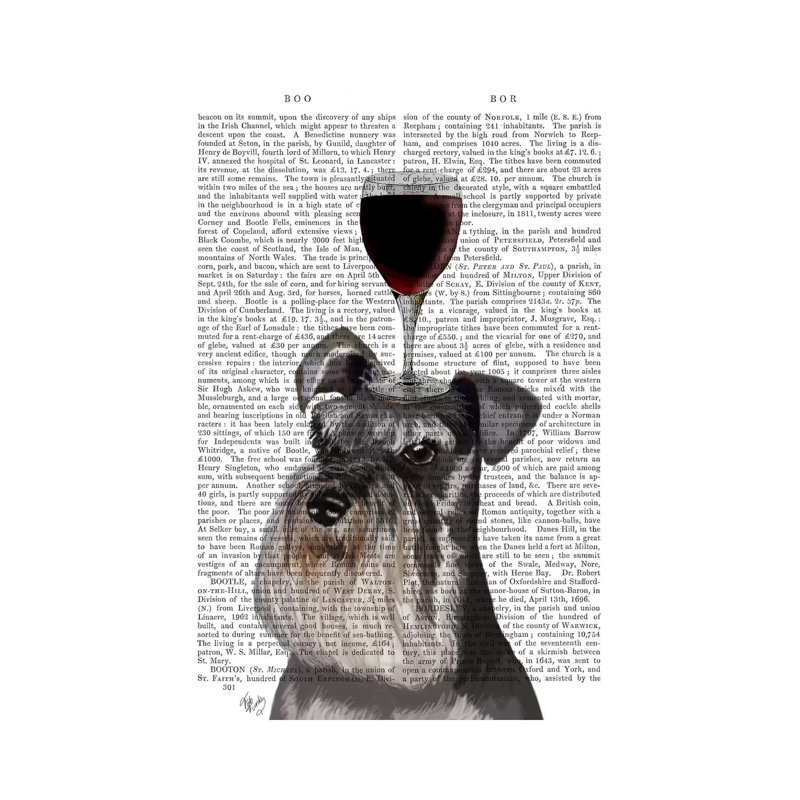 Dog Au Vin, Schnauzer, Print BG by Fab Funky - Wrapped Canvas Gallery-Wrapped Canvas Giclée, 20.32 cm H x 30.48 cm W