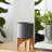 Ceramic Planter with Bamboo Stand - Modern Plant Pot with Elevated Base for Indoor Use-2046762069-2046762068-2132121804