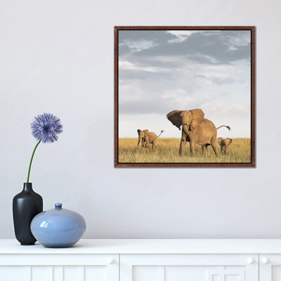Colour Elephant & Calves by Klaus Tiedge - Print on Canvas