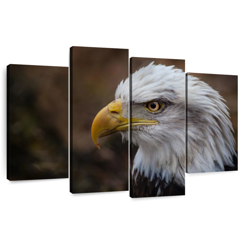 Brampt Bald Eagle Gaze, 54" H x 84" W