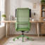 Chaise de bureau ergonomique avec support lombaire ajustable-1436140037-1436140041