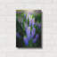 Mur de métal «Lupins» par Rick Berk-287425894