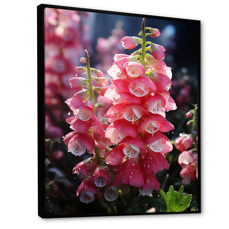 Lolmaugh Meadow Foxglove Fantasy II, H 32 po x l 24 po x P 1 po, Cadre flottant noir