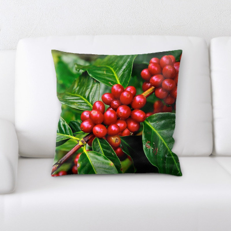 Coussin de café