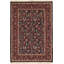 Wool Floral Area Rug