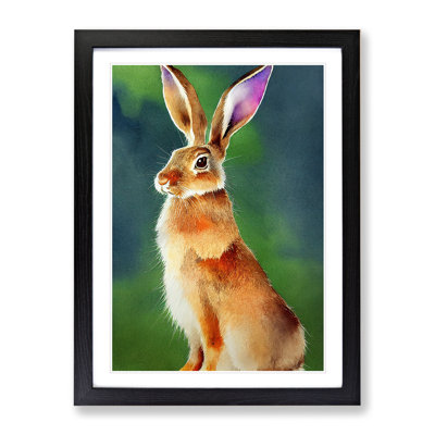 Cute Hare - Single Picture Frame Print